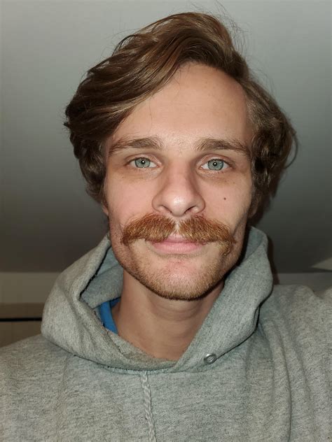 Movember mustache. : r/Moustache