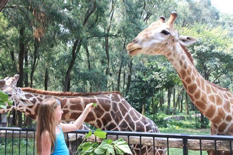 The White's Journey to China: Consulate Appointment and Guangzhou zoo!