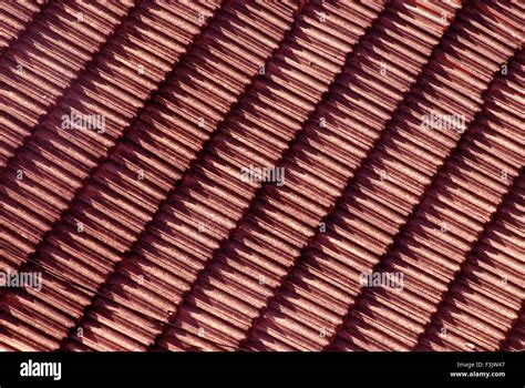 Mangalore tile roof hi-res stock photography and images - Alamy