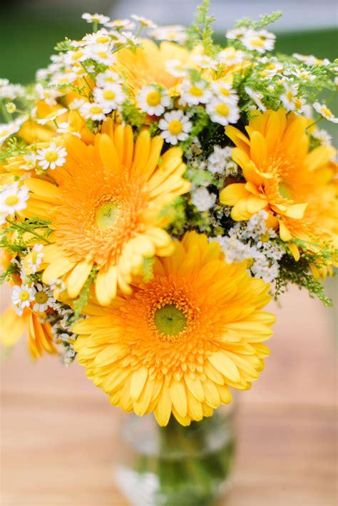 Yellow Gerber Daisy Bouquet