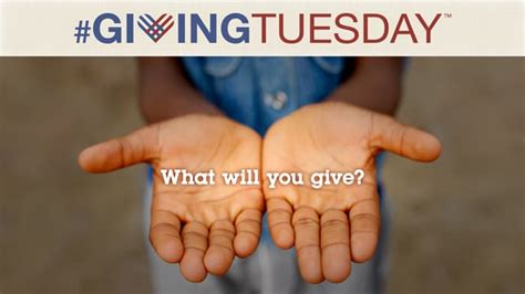 Giving Tuesday Ideas with the Biggest ROI - Greater Giving Blog