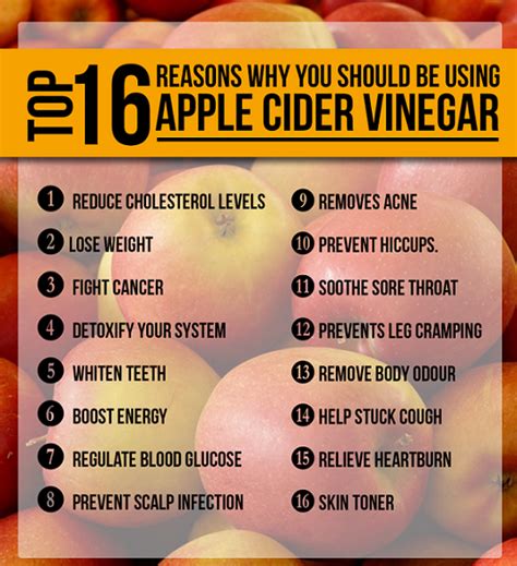 Apple Cider Vinegar Benefits - DIETPEDIA NET