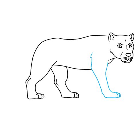 How to Draw a Lioness - Really Easy Drawing Tutorial