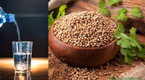 Coriander Seed | Benefits of Coriander Seed Water