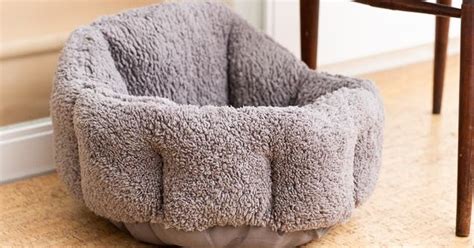 The Best Cat Beds (According to Our Cats) for 2024 | Reviews by Wirecutter