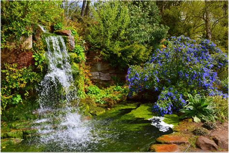 https://flic.kr/p/s9iJVg | Ness Botanic Gardens (Wirral) 3rd May 2015 ...