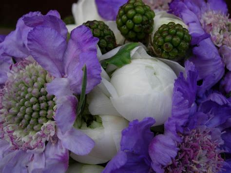 Scabiosa, White Ranunculus and Raspberry Bouquet - Bouquet Wedding Flower