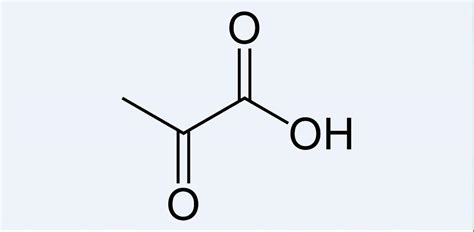 Pyruvic acid - wikidoc