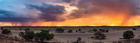 10 Best Kalahari desert facts: Intresting facts about the Kalahari desert