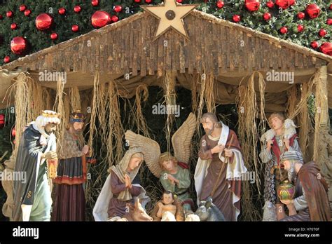 Christmas in Bethlehem, Nativity scene by the Christmas tree in Manger ...