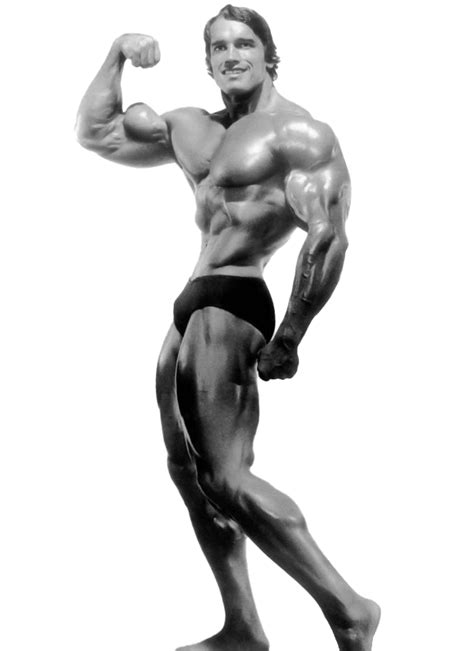 Arnold Schwarzenegger PNG Transparent Images