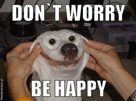 85 Happy Memes to Brighten Your Day and Make You Smile