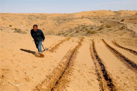 'Hold the sand': The battle to tame China's deserts - ABC News