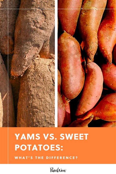 The Distinction Between Yams and Sweet Potatoes