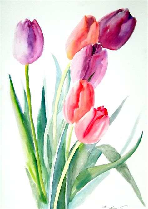 Watercolor tulips | Watercolor flower art, Flower painting, Flower art