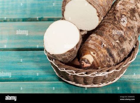 Malanga Edible Tuber - Root Of The Plant Called Colocasia Esculenta ...