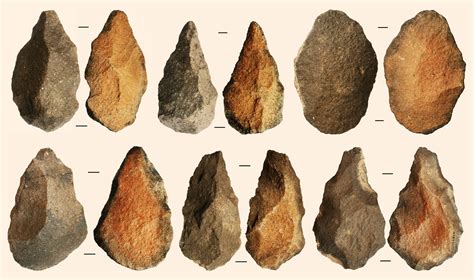 Homo erectus Were Technologically Conservative, Used Least-Effort ...