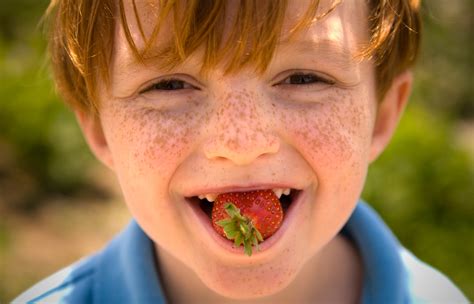 10 Reasons to Eat Strawberries - Florida Strawberry