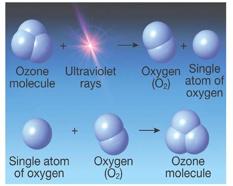 Ozone effect | Alpine Air Technologies - Blog