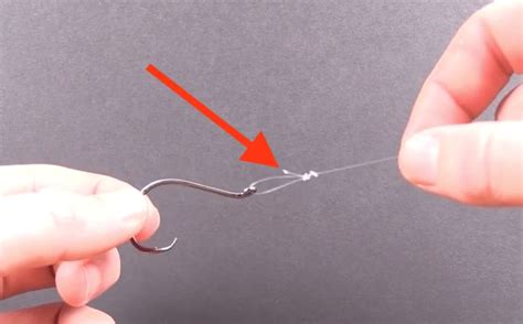 How To Hook A Live Shrimp When Fishing In Current [VIDEO] | Fishing ...