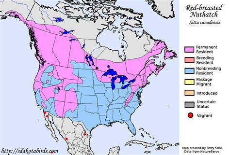 Red-breasted Nuthatch - Species Range Map