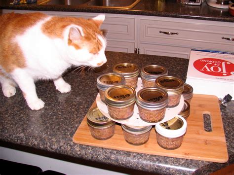 Homemade Cat Food Recipes | Homesteading Simple Self Sufficient Off-The ...