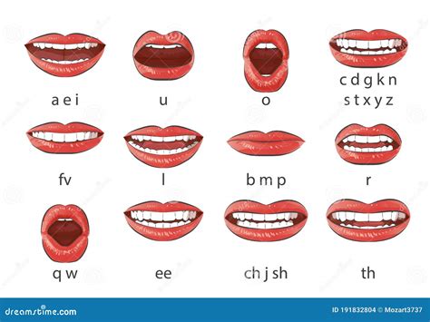 Phonemes Mouth Chart Animation Reference Anatomy Reference Art – NBKomputer