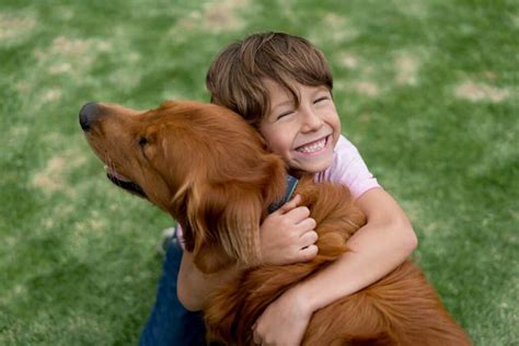 Confira alguns benefícios dos animais na educação infantil