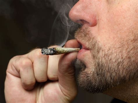 Hardcore pot smoking could damage the brain's pleasure center | Science ...