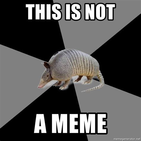 Armadillo Memes