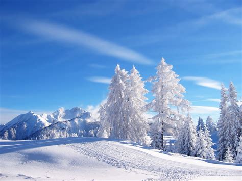 Snow Wallpapers - Top Free Snow Backgrounds - WallpaperAccess