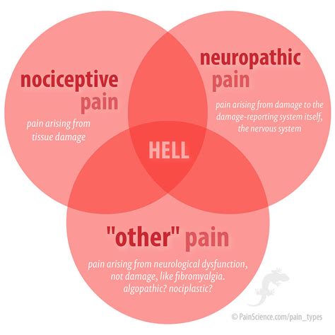 The 3 Pain Types: Nociceptive, neuropathic, and “other”