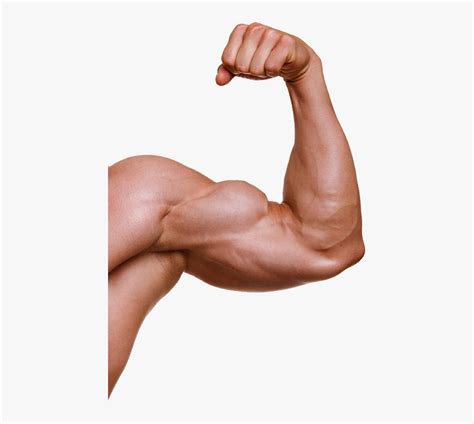 Muscle Hand Png Image With Transparent Background - Transparent ...