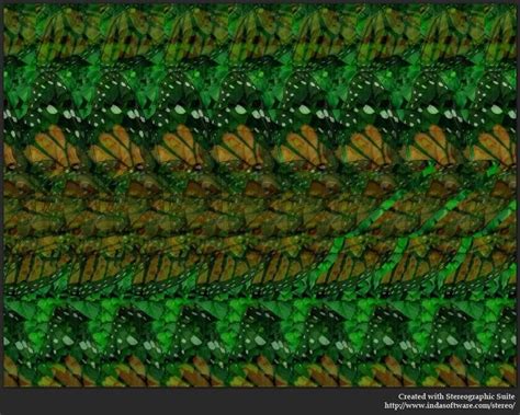 3d hidden pictures | Butterfly : Stereogram Images, Games, Video and ...