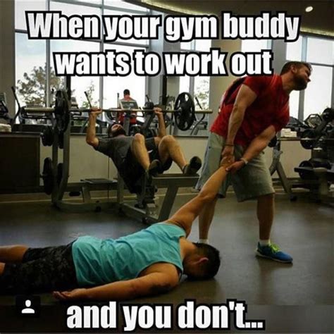 Funny Pictures Of The Day - 42 Pics | Funny gym quotes, Workout quotes ...