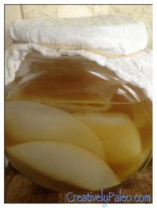 40 Kombucha Scoby ideas | kombucha, kombucha scoby, scoby