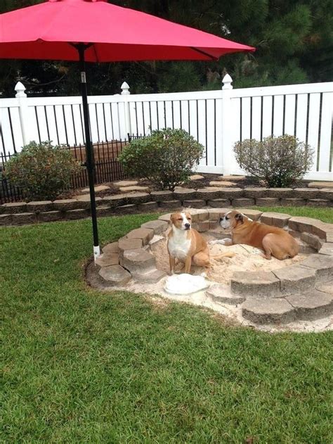 19 Great Backyard Ideas to Delight Your Dog - meowlogy | Dog backyard ...