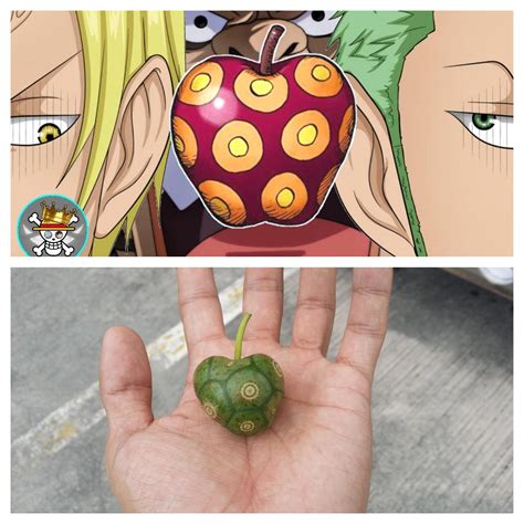 I found an artificial devil fruit but dunno what ability it has. should ...