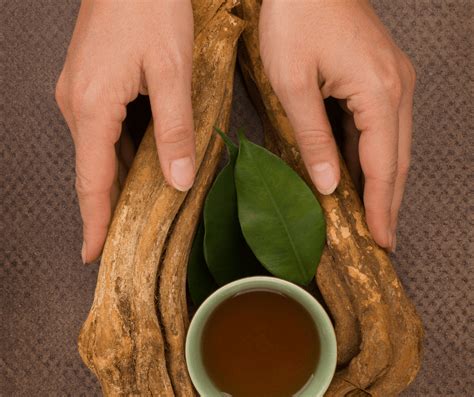 How To Prepare For An Ayahuasca Ceremony? (Retreat Preparation Guide ...