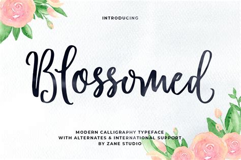 Font Collection Bundle (877893) | Calligraphy | Font Bundles