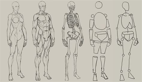 ArtStation - Layout, NAMGWON LEE | Human body drawing, Human anatomy ...