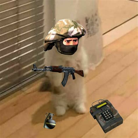 Standing cat meme pfp | Cs go funny, Funny hamsters, Cat memes