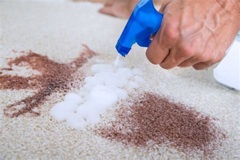 6 Best Portable Spot Cleaners for Carpet Stains 2022 - Appliance Guide