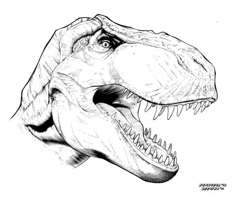 T Rex Head Drawing at GetDrawings | Free download