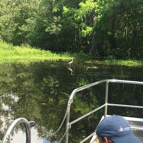 Take A Swamp Ride – Tom & Jerry's Airboat Rides