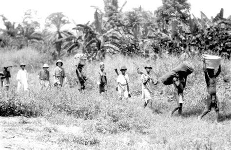 A Liberian Journey - Edge Effects