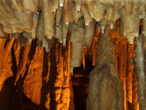 Stalactites, Stalagmites, and Cave Formations - Mammoth Cave National ...