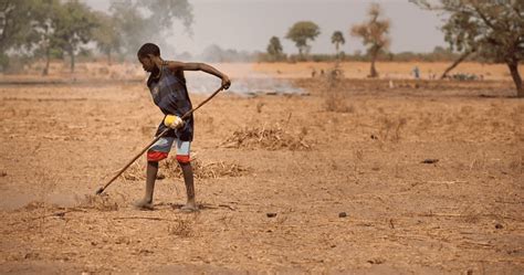 Desertification: 4 Effective Solutions To Revive Degraded Lands