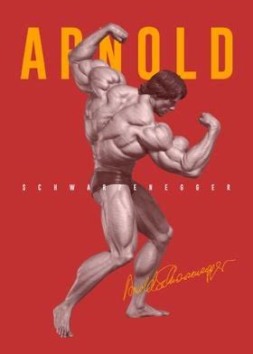 Arnold Schwarzenegger Bodybuilding Poster