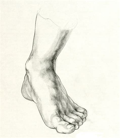 Foot Drawing at GetDrawings | Free download